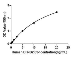 Novus Biologicals&trade;&nbsp;Human Ephrin-B2 ELISA Kit (Colorimetric)